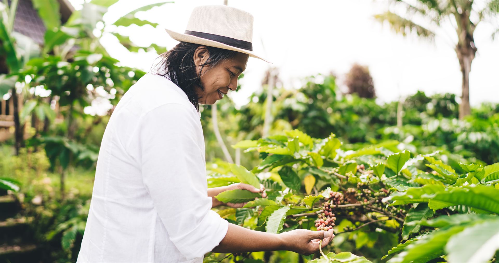 Single-origin farm cooperative